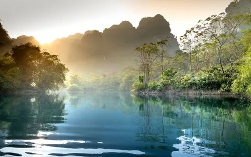 高性能绿色